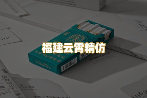 福建云霄精仿